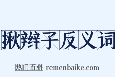 揪辫子反义词是什么意思的图片